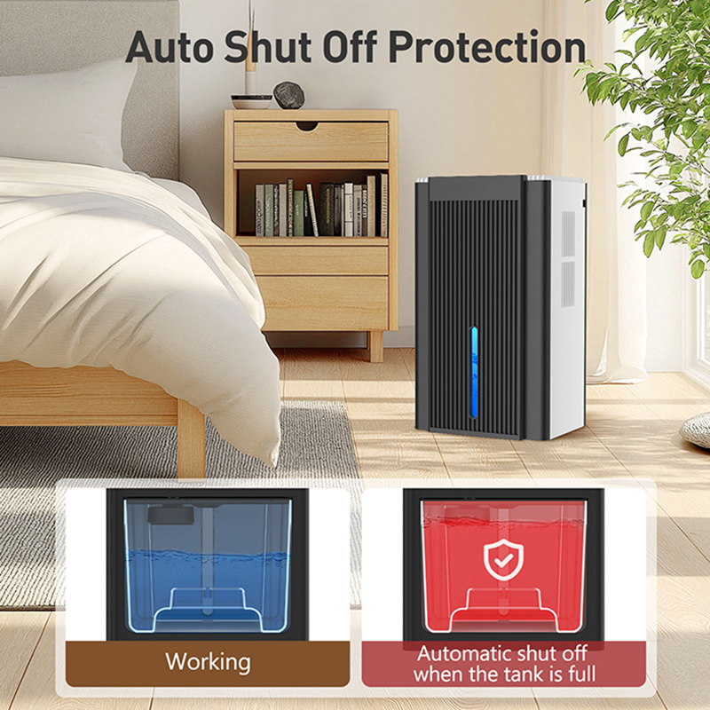 CT11 black and white